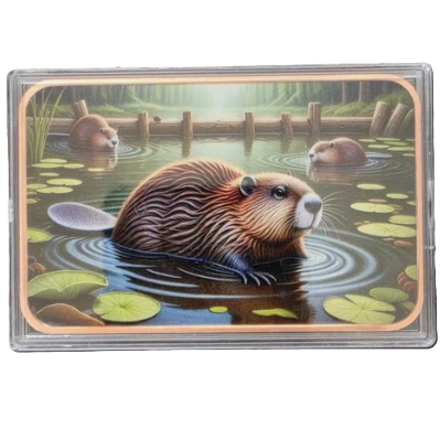5 oz Copper Beaver in Acrylic Case