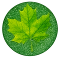 1 oz Copper Spring Maple Limited Edition Numbered Out of 5,000 "Diamond Dusted"