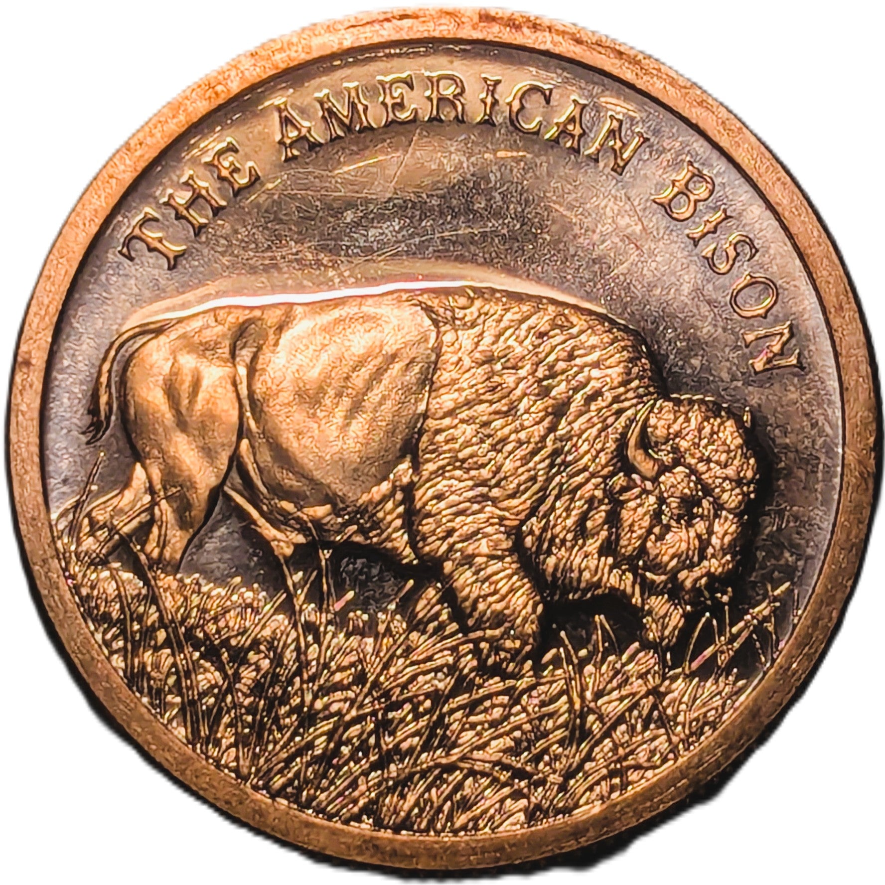 1 oz Copper Round – The American Bison